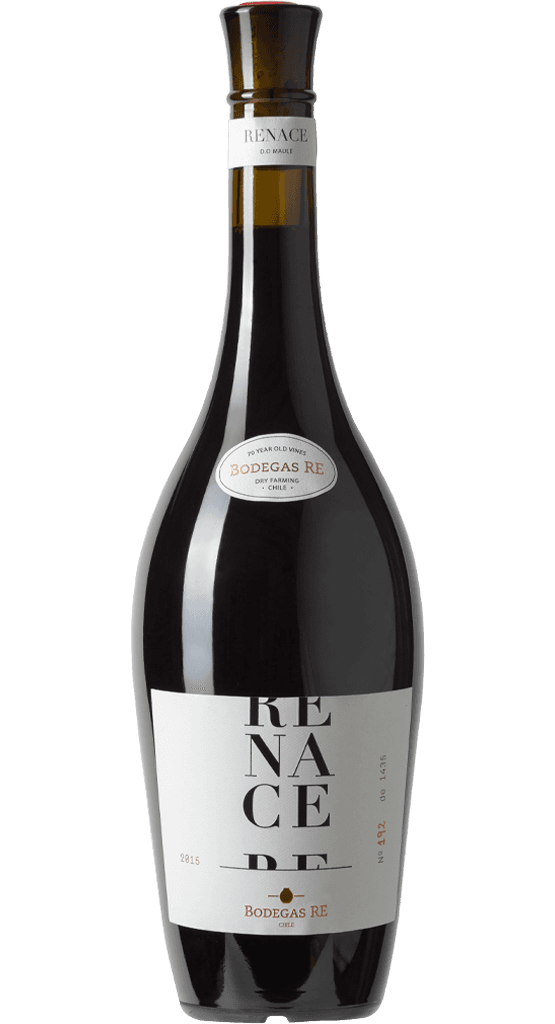 Bodegas RE Renace